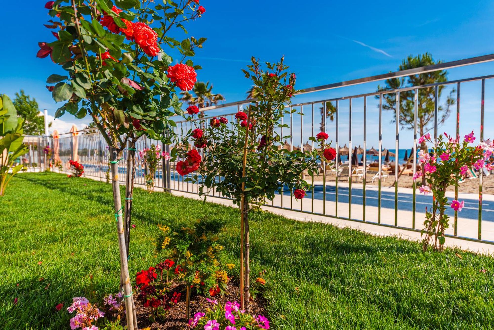 Sea View Eldo Durres
